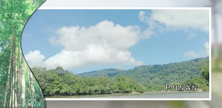 Punan landscape